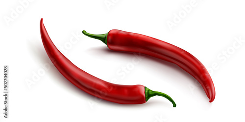 Red chili pepper, hot spicy plant pod, paprika cayenne with green stem vector realistic illustration isolated on white background. Ripe vegetable with shadow