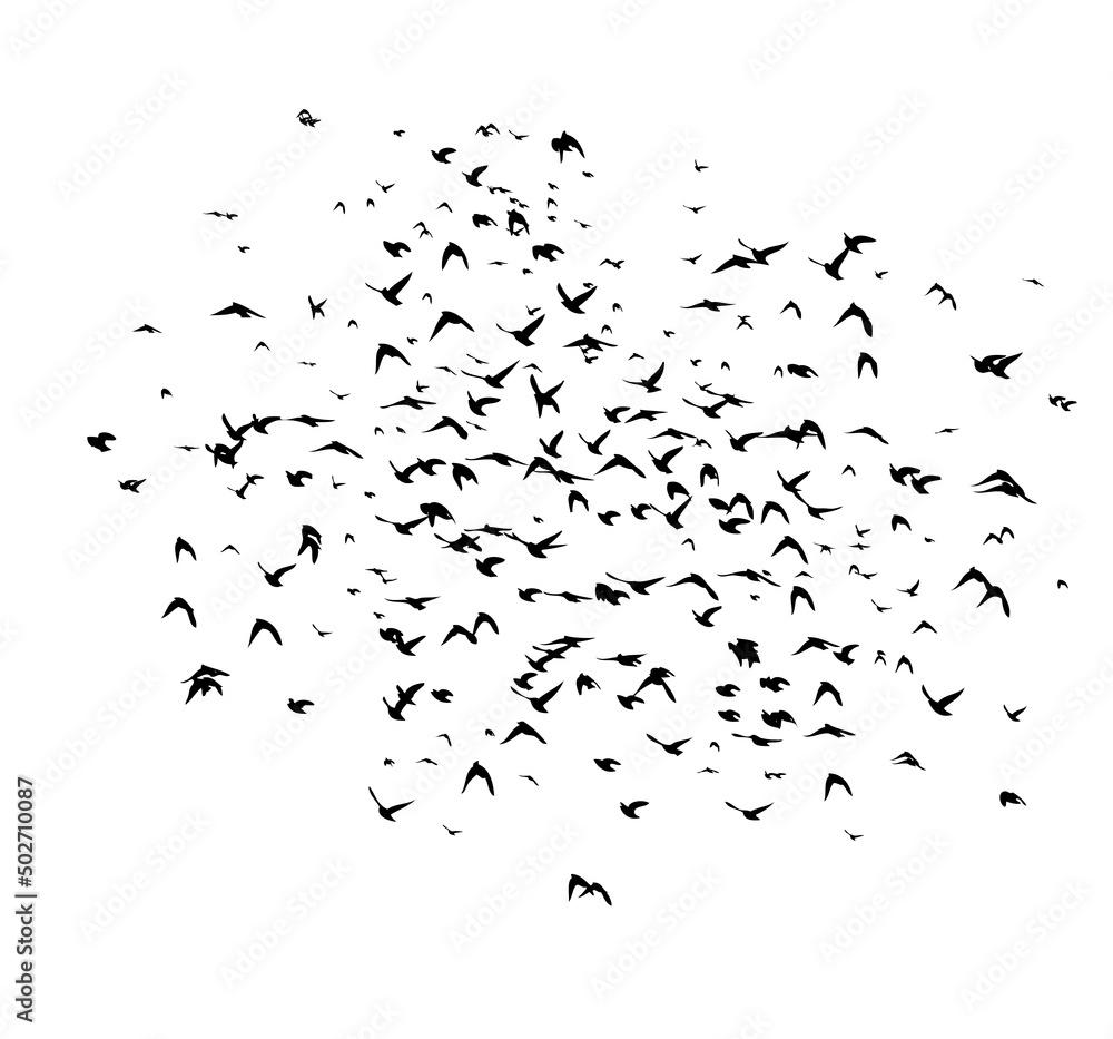 A flock of flying birds. Free birds. Flying seagulls. Vector illustration A flock of flying birds. Free birds. Flying seagulls. Vector illustration