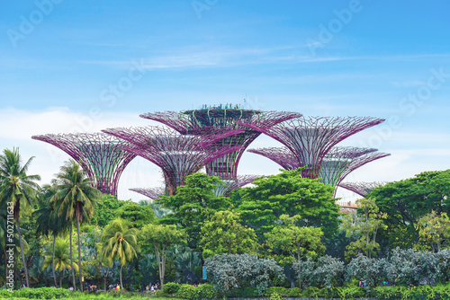Supertree Grove at Garden by the Bay tourist destination in Singapore