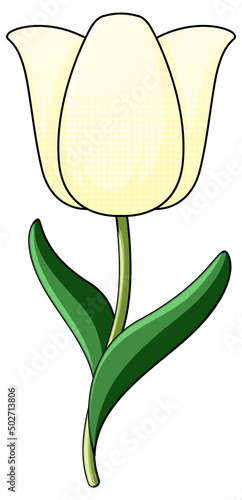 White tulip with green leaves