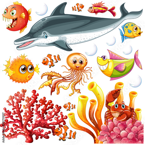 Different types of sea animals