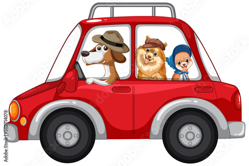 Dogs driving a car on white background