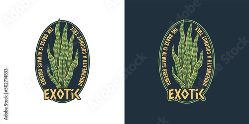 Exotic paradise. Tropical plant for t-shirt print. Hawaii summer surfing. Palm for tropic surf design