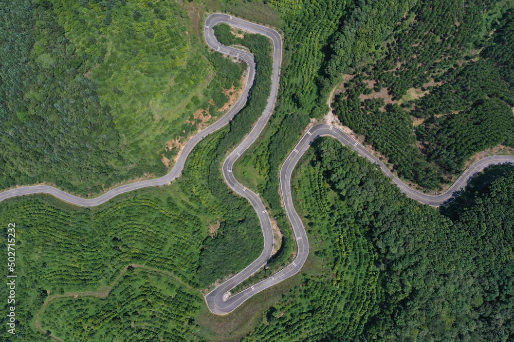 Winding road passes through mountain top forest, aerial top view