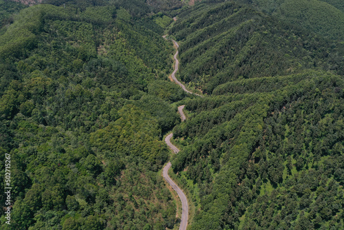 Winding road passes through valley forest, aerial top view