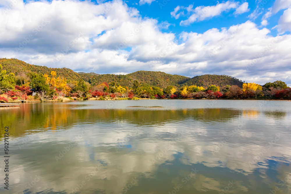 京都の大覚寺にある大沢池で見た、池周辺の色鮮やかな紅葉と青空