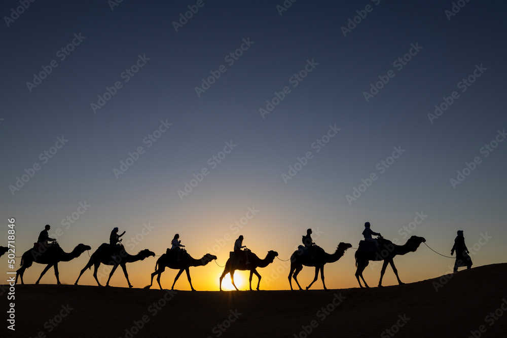 Caravana de camellos en el desierto foto de Stock Adobe Stock