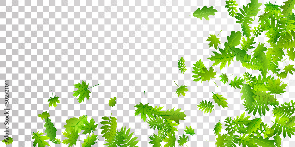 Print Print