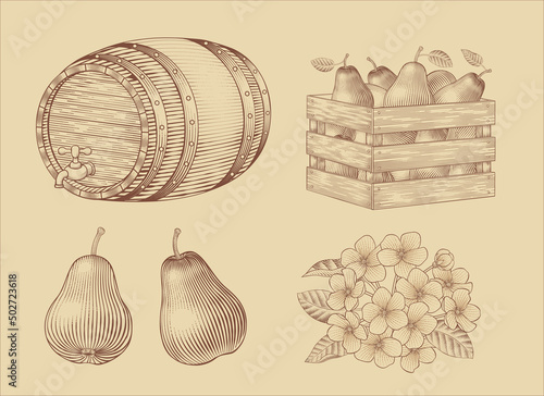 Pear fruit related elements