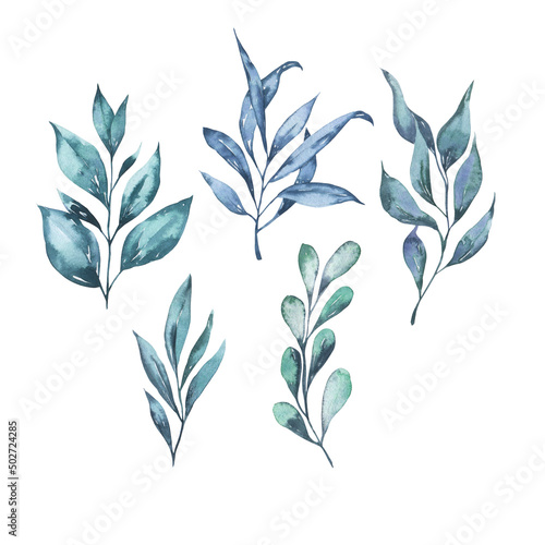 Decorative blue leaves and branches collection. Hand drawn watercolor illustration.