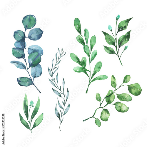 Spring or summer blue and green leaves and branches collection. Hand drawn watercolor illustration.