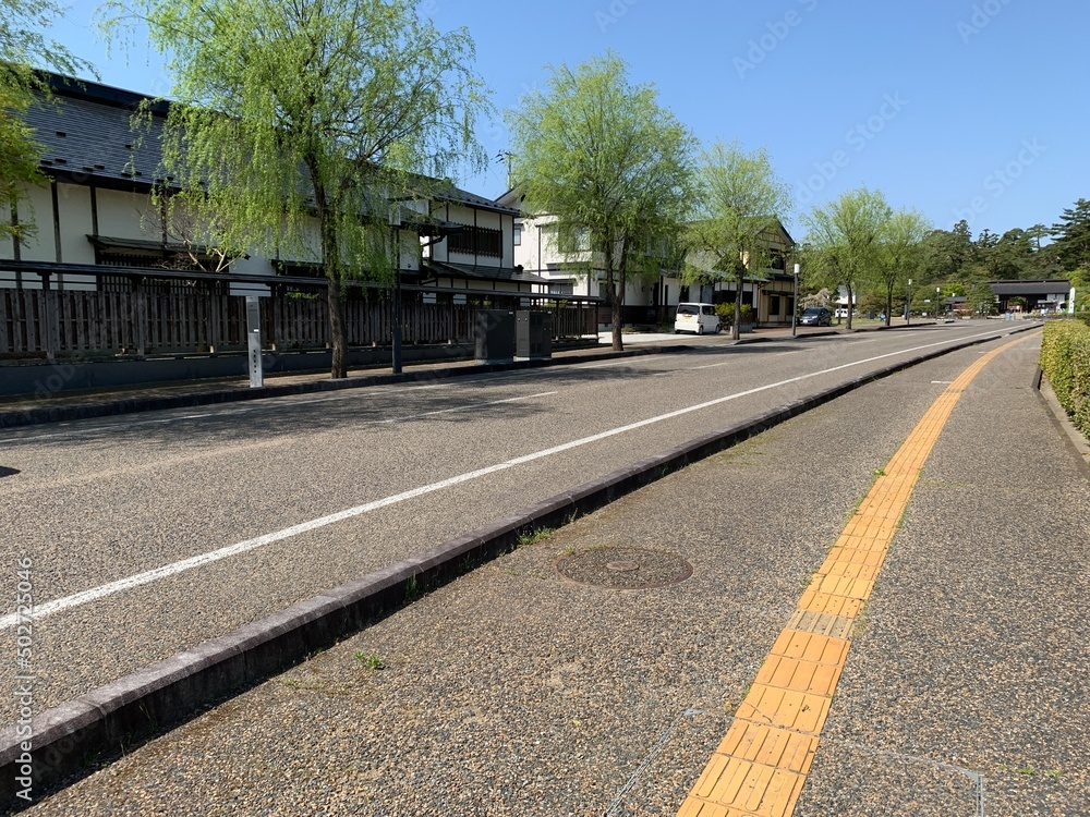 Fototapeta premium 平泉の毛越寺通り