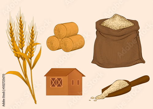 Engraved agricultural elements