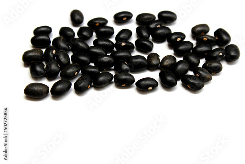 Black bean isolated on the white background