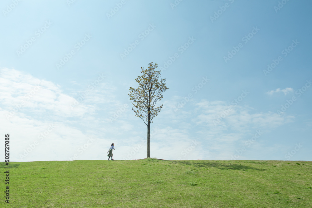 Fototapeta premium single tree and a girl, meadow and blue sky