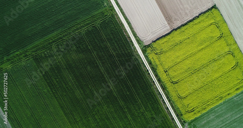 Aerial View Green Spring Field Landscape With Trails Lines. Top View Of Field With Growing Young Green Grass And Wheat. Drone View. Bird's Eye View