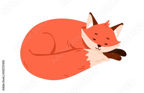 Cute fox pup sleeping, relaxing. Wild animal asleep, curled up in fetal position. Sweet sleepy cub lying and dreaming. Lovely forest character. Flat vector illustration isolated on white background