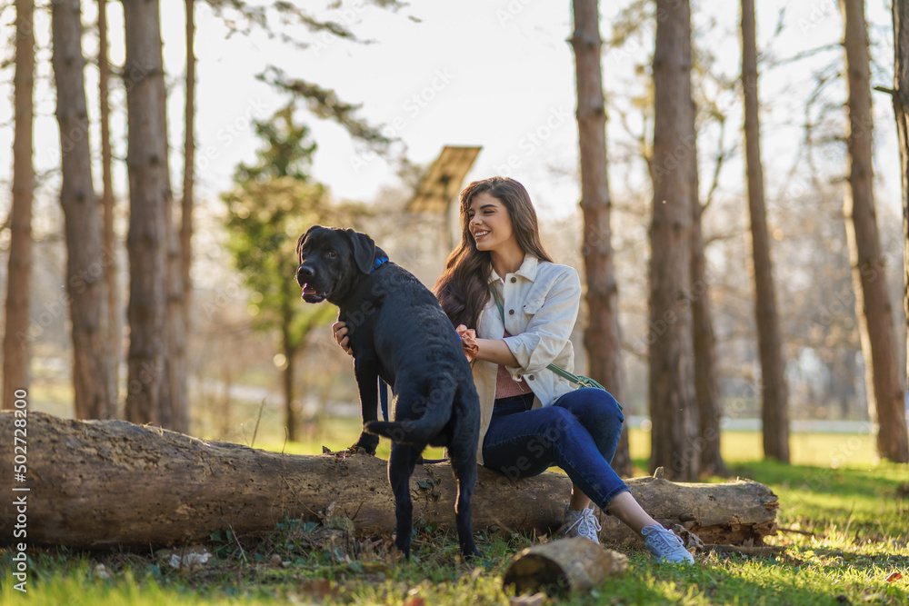 A smiling young attractive woman playing and walking with her Labrador puppy in a city park. The concept of pet and animal care. A smiling young attractive woman playing and walking with her Labrador puppy in a city park. The concept of pet and animal care.