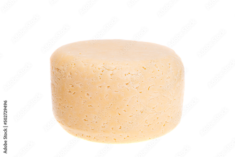 head of cheese isolated head of cheese isolated