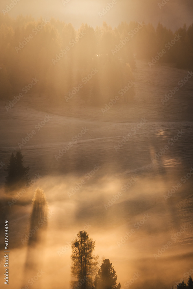 Foggy morning in Alpe di Siusi in the Italian Dolomites. Autumn in the mountains creates an amazing atmosphere.
