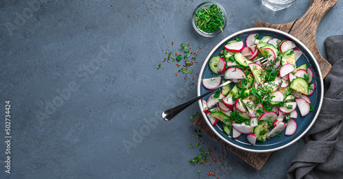 Summer salad with radishes, cucumbers, herbs and flax seeds on a dark background. Top view, copy space.