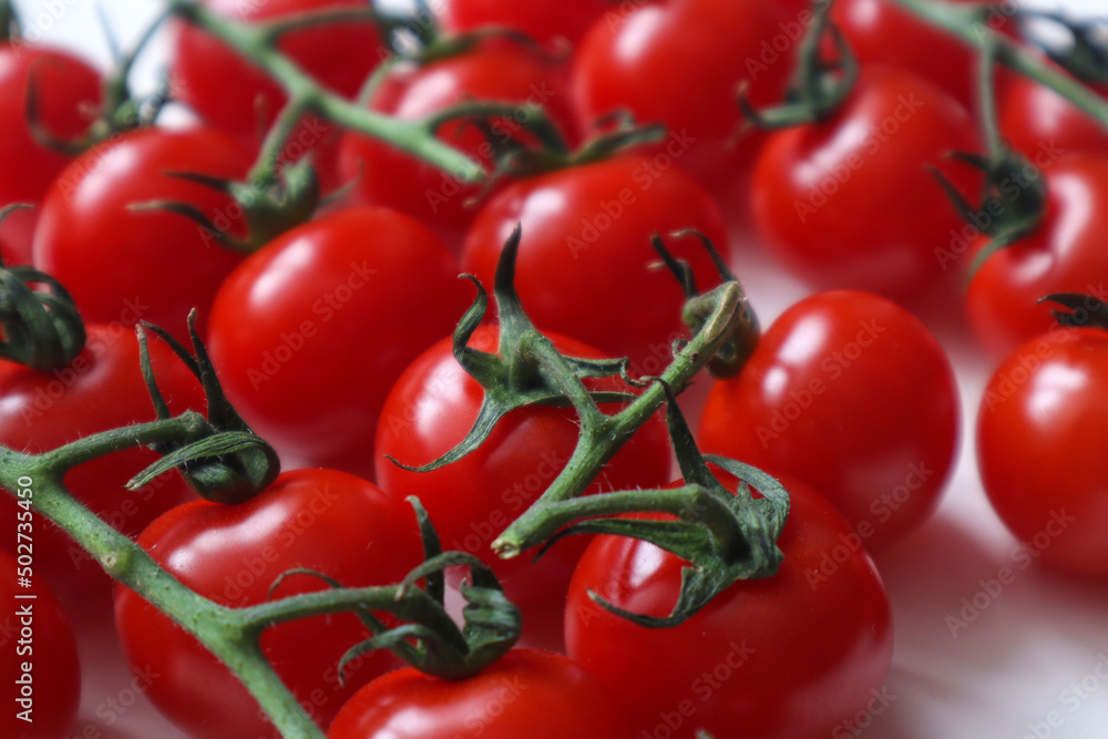 cherry tomatoes on a green branch, red berries, tomatoes on a white background. cherry tomatoes on a green branch, red berries, tomatoes on a white background.