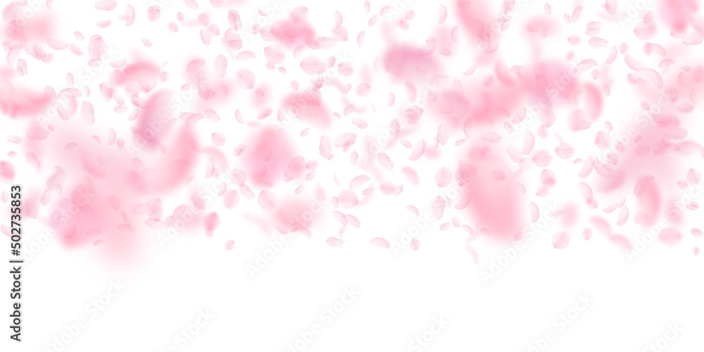 Sakura petals falling down. Romantic pink flowers gradient. Flying petals on white wide background. Love, romance concept. Posh wedding invitation.