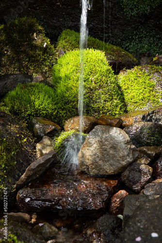 spring water 