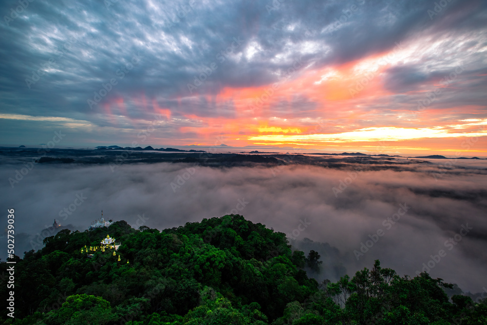 panoramic background of high mountain scenery, overlooking the atmosphere of the sea, trees and wind blowing in a cool blur, spontaneous beauty