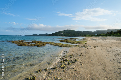 Fototapeta Naklejka Na Ścianę i Meble -  長い砂浜が続く久米島のイーフビーチ