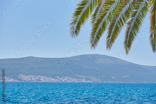 Palm branch on blue sky background and sea  template with copy space