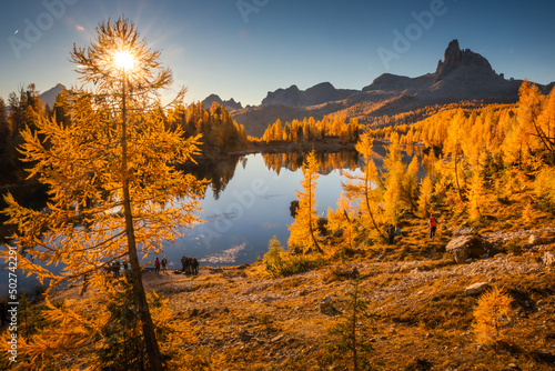 Fall sunrise on Lake Federa in the Italian Dolomites. Yellow larches create a unique atmosphere of this place.