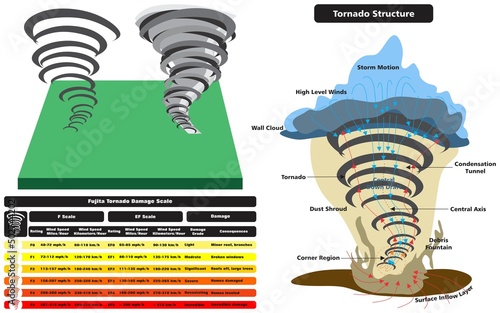 Tornado vector drawing scale and structure infographic diagram parts fujita damage rating spiral wind speed consequences natural disaster illustration bad weather concept major adverse event