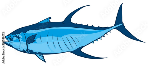 Drawing of Tuna Fish in Blue Tones - Colored Illustration Isolated on White Background, Vector