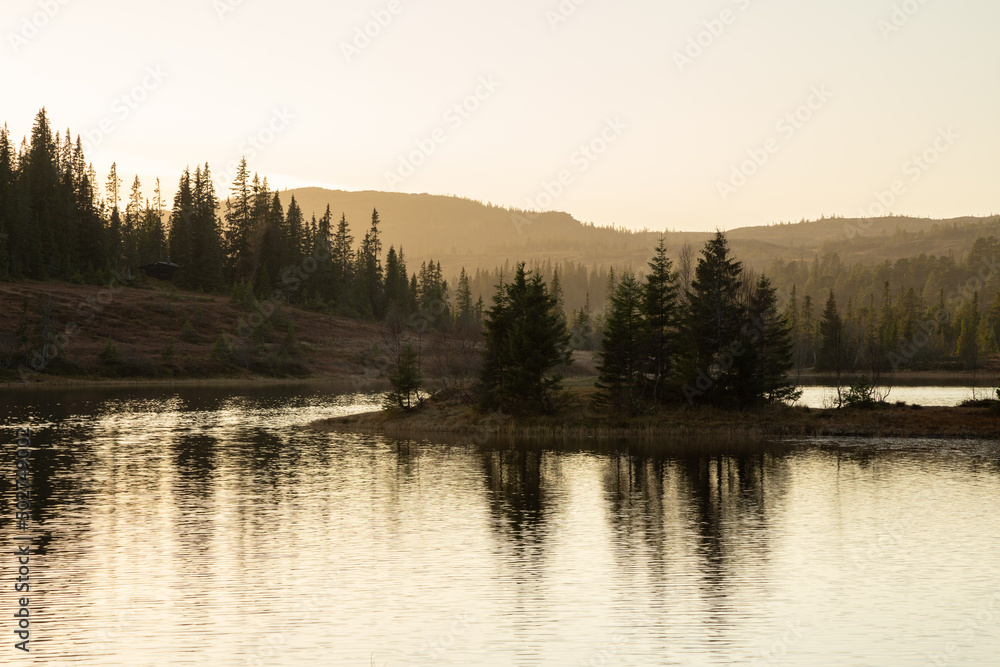 Fototapeta premium Peaceful evening in the mountain forest