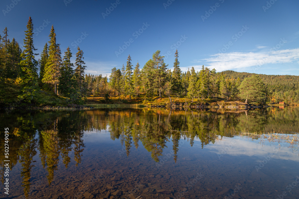 Sunny day by the lake in the forest of Bymarka.