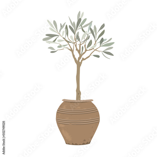 Olive tree in a stylish clay pot isolated on white background. Home plant decor element. Vector illustration