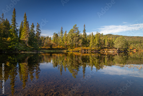 Sunny day by the lake in the forest of Bymarka. © Adrian