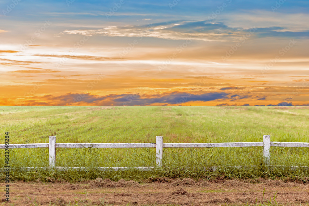 Fototapeta premium Wooden fence and old farm gate in the nature background 