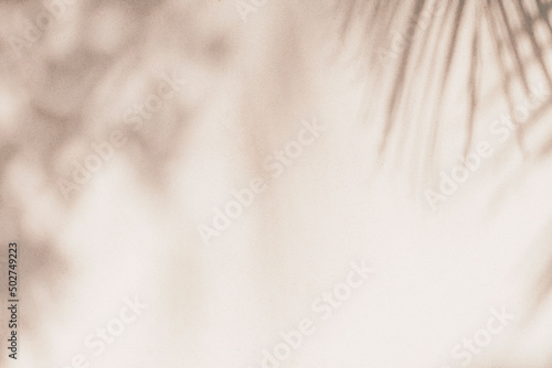 leaf shadow natural light old wall background