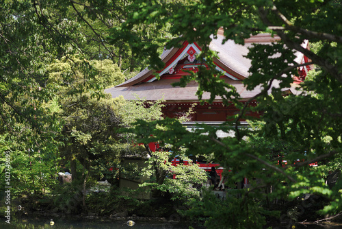 Shrine in the forest of Japan