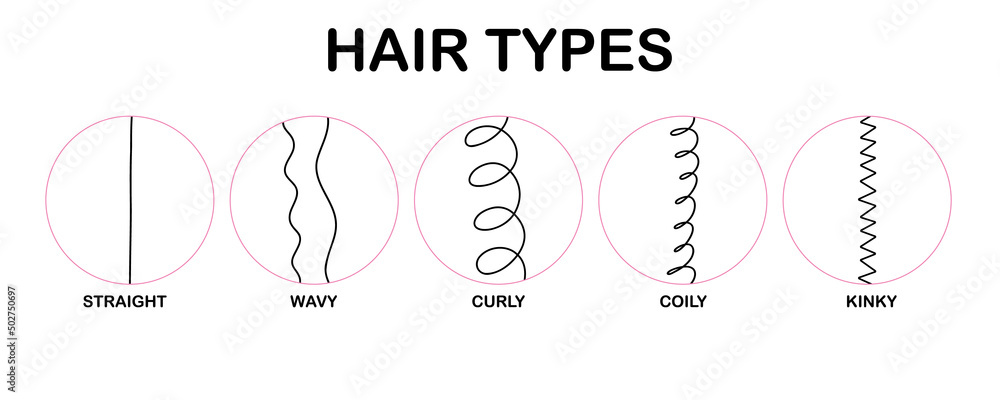 Hair types. Classification hair types - straight, wavy, curly, coily,  kinky. Scheme of different types of hair. Curly girl method. Vector  infographics illustration on white background. Stock Vector | Adobe Stock