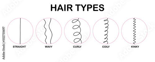 Hair types. Classification hair types - straight, wavy, curly, coily, kinky. Scheme of different types of hair. Curly girl method. Vector infographics illustration on white background. photo