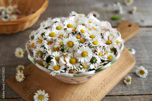 Common daisy flowers in a bowl  close up