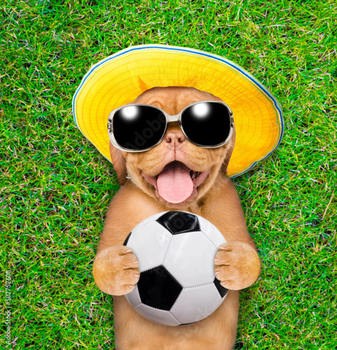 Happy mastiff puppy wearing sunglasses and summer hat lying with a soccer ball on green summer grass. Top down view © Ermolaev Alexandr