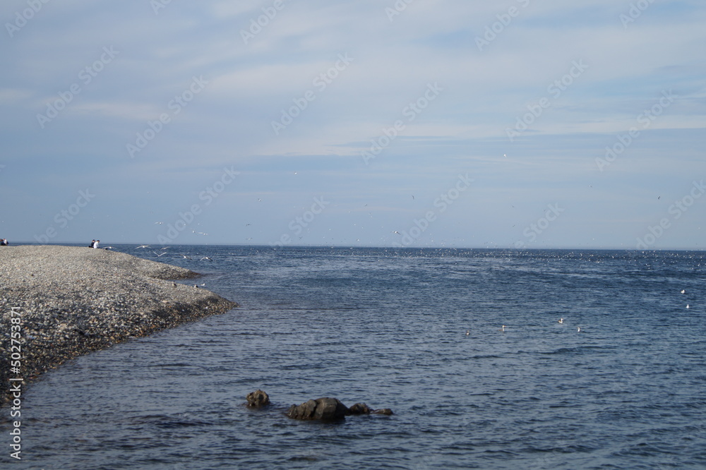 Fototapeta premium black sea view, black sea landscape, black sea in Batumi, black sea in Georgia
