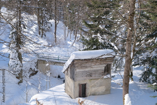 Wallpaper Mural Winter concept idea. Huge amount of snow around small shed and cottage with small bridge. Torontodigital.ca