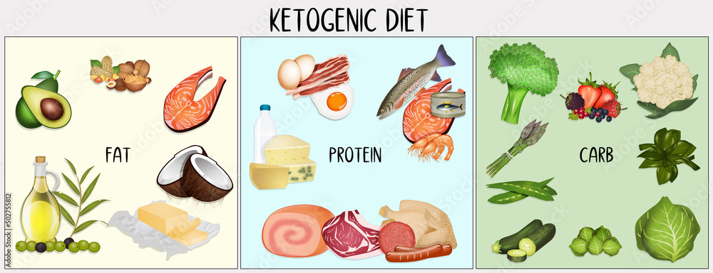 illustration of scheme of the ketogenic diet