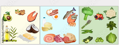 Fotografie illustration of scheme of the ketogenic diet