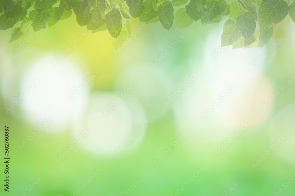 Blur circle bokeh green leaf background. Blurry yellow leaves ra Blur circle bokeh green leaf background. Blurry yellow leaves ra